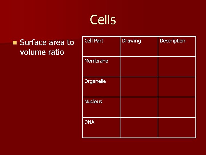Cells n Surface area to volume ratio Cell Part Membrane Organelle Nucleus DNA Drawing