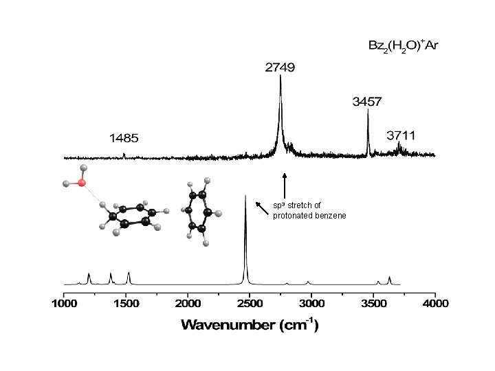 sp 3 stretch of protonated benzene 