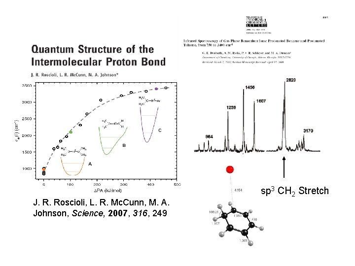 J. R. Roscioli, L. R. Mc. Cunn, M. A. Johnson, Science, 2007, 316, 249