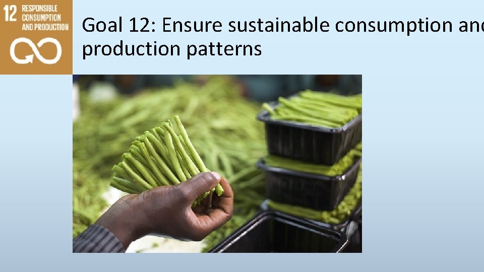 Goal 12: Ensure sustainable consumption and production patterns 