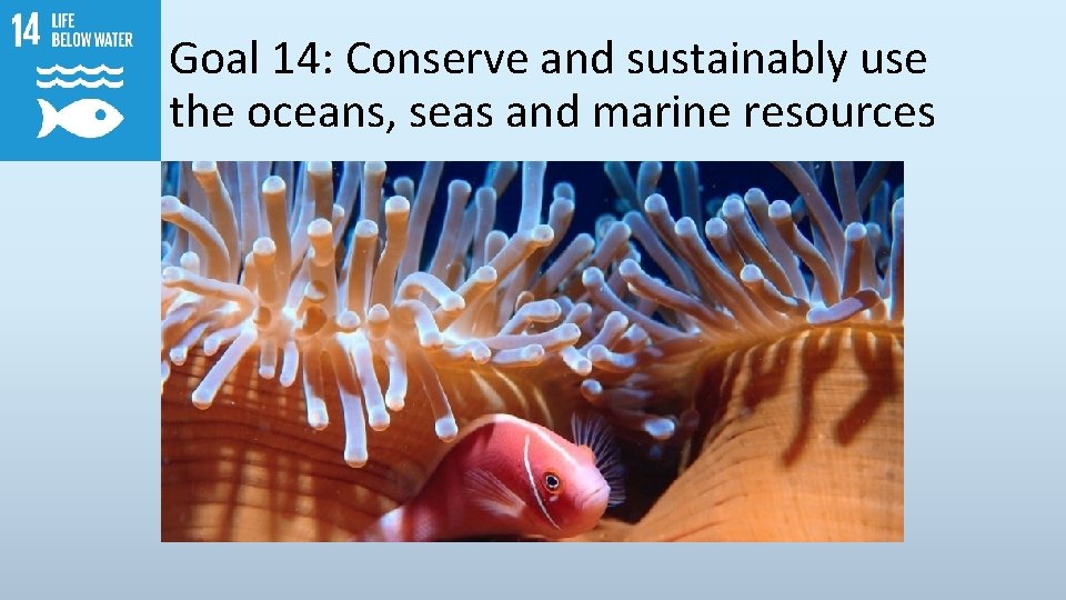 Goal 14: Conserve and sustainably use the oceans, seas and marine resources 