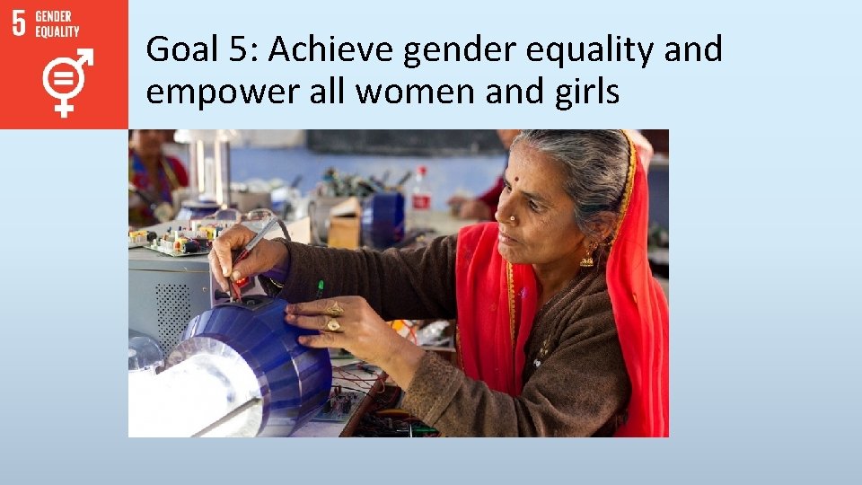 Goal 5: Achieve gender equality and empower all women and girls 
