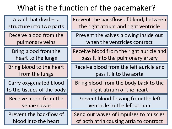 What is the function of the pacemaker? A wall that divides a structure into