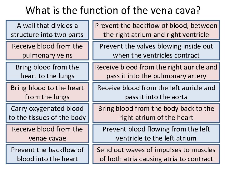 What is the function of the vena cava? A wall that divides a structure