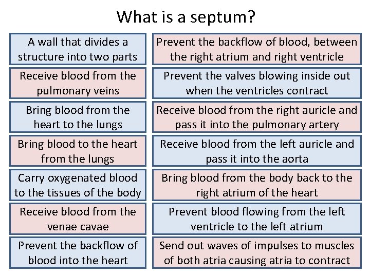 What is a septum? A wall that divides a structure into two parts Prevent