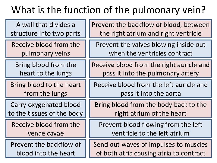 What is the function of the pulmonary vein? A wall that divides a structure