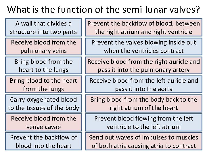 What is the function of the semi-lunar valves? A wall that divides a structure