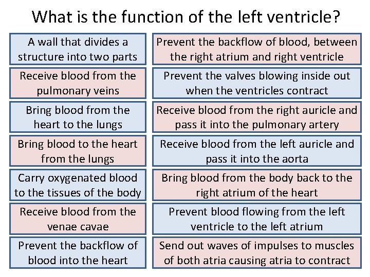 What is the function of the left ventricle? A wall that divides a structure