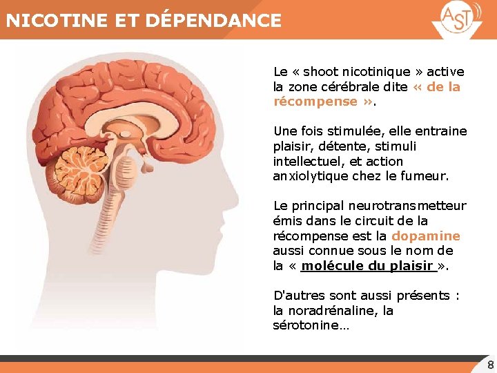 NICOTINE ET DÉPENDANCE Le « shoot nicotinique » active la zone cérébrale dite «