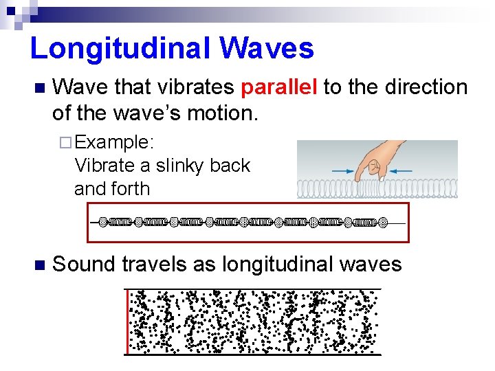 Longitudinal Waves n Wave that vibrates parallel to the direction of the wave’s motion.