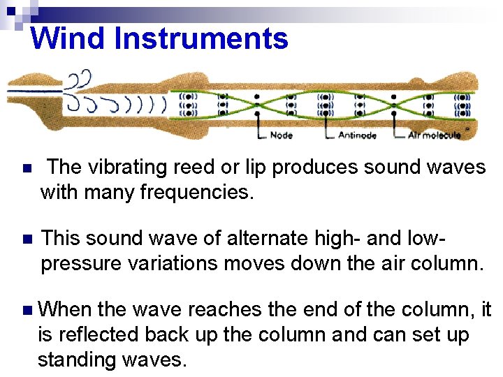 Wind Instruments n The vibrating reed or lip produces sound waves with many frequencies.