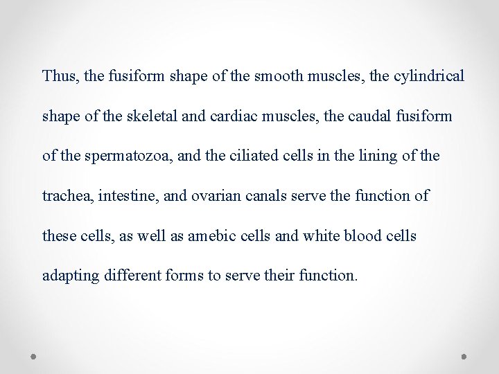 Thus, the fusiform shape of the smooth muscles, the cylindrical shape of the skeletal