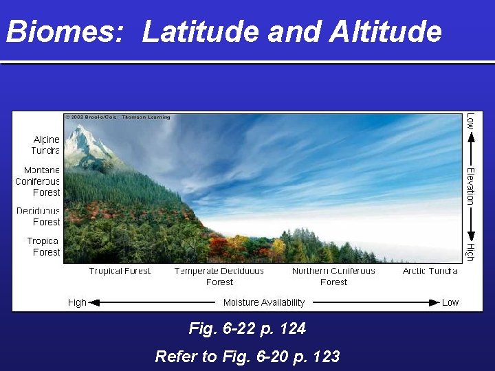 Biomes: Latitude and Altitude Fig. 6 -22 p. 124 Refer to Fig. 6 -20
