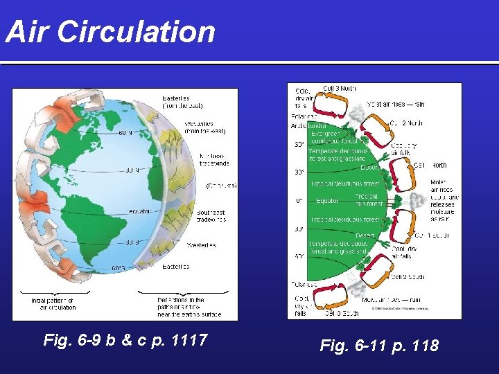 Air Circulation Fig. 6 -9 b & c p. 1117 Fig. 6 -11 p.