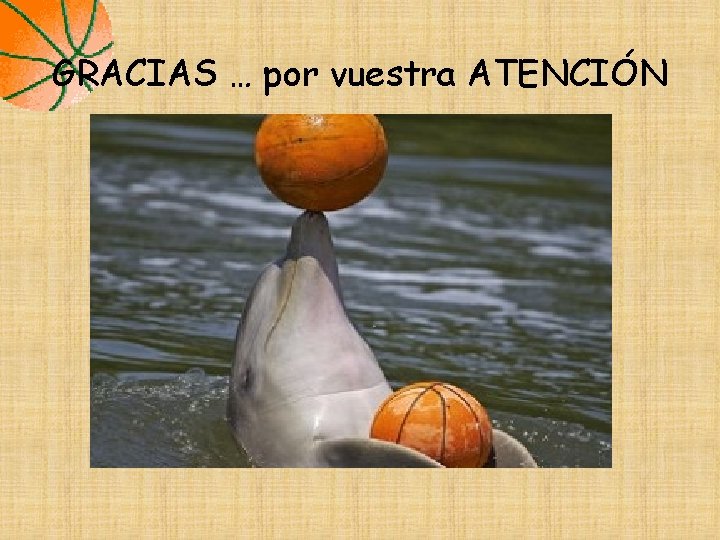 GRACIAS … por vuestra ATENCIÓN GRACIAS … por vuestra ATENCIÓN