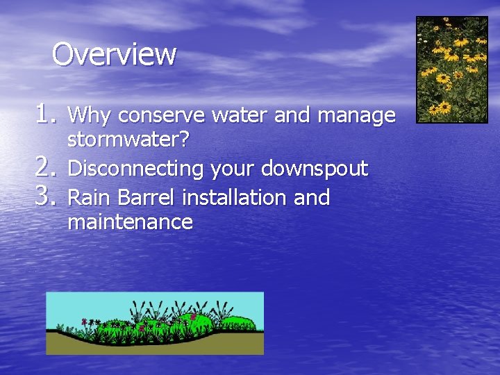 Overview 1. Why conserve water and manage 2. 3. stormwater? Disconnecting your downspout Rain