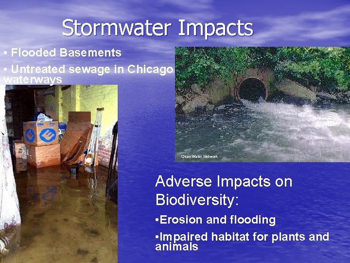Stormwater Impacts • Flooded Basements • Untreated sewage in Chicago waterways Clean Water Network
