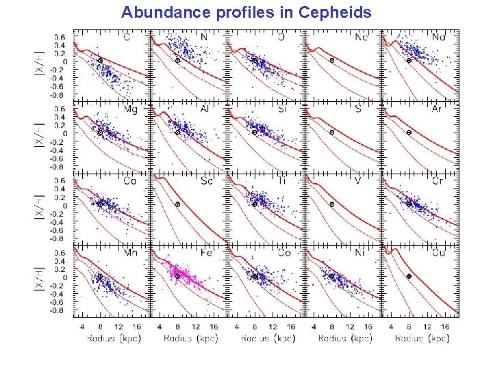 Abundance profiles in Cepheids 