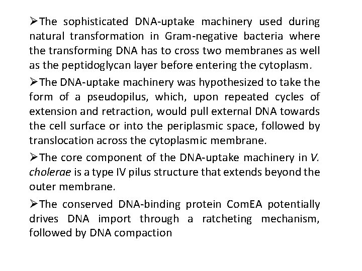 ØThe sophisticated DNA-uptake machinery used during natural transformation in Gram-negative bacteria where the transforming