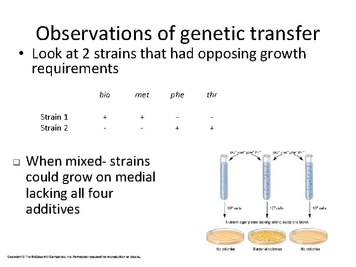Observations of genetic transfer • Look at 2 strains that had opposing growth requirements
