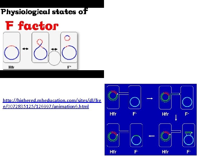 http: //highered. mheducation. com/sites/dl/fre e/0072835125/126997/animation 6. html 