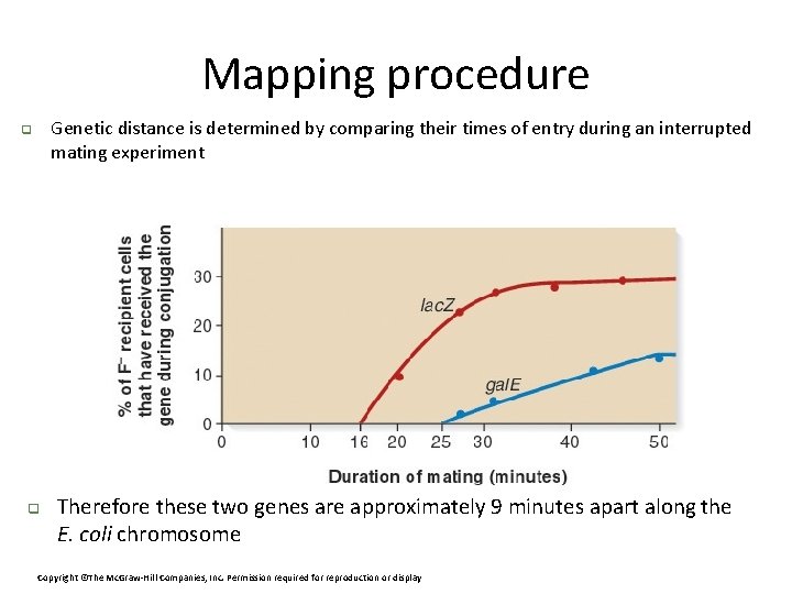Mapping procedure Genetic distance is determined by comparing their times of entry during an