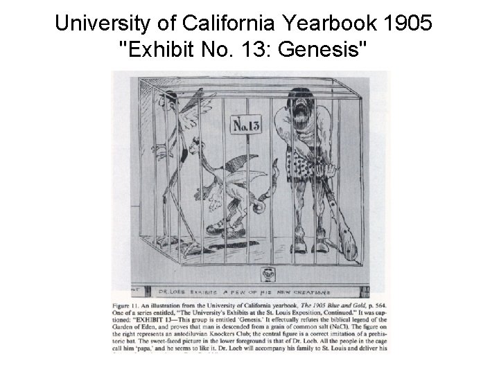 University of California Yearbook 1905 "Exhibit No. 13: Genesis" 