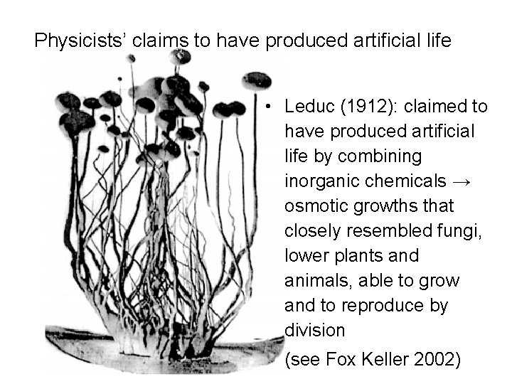 Physicists’ claims to have produced artificial life • Leduc (1912): claimed to have produced