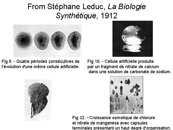 From Stéphane Leduc, La Biologie Synthétique, 1912 Fig 8. - Quatre périodes consécutives de