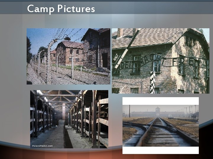 Camp Pictures 