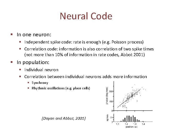 Neural Code § In one neuron: § Independent spike code: rate is enough (e.