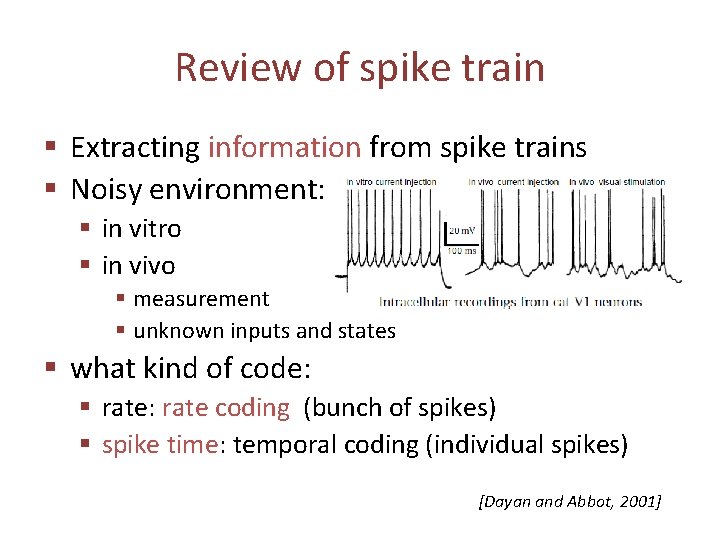 Review of spike train § Extracting information from spike trains § Noisy environment: §