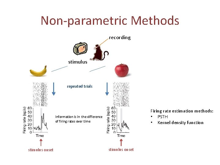 Non-parametric Methods recording stimulus repeated trials Firing rate estimation methods: • PSTH • Kernel