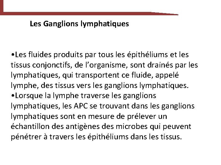 Les Ganglions lymphatiques • Les fluides produits par tous les épithéliums et les tissus