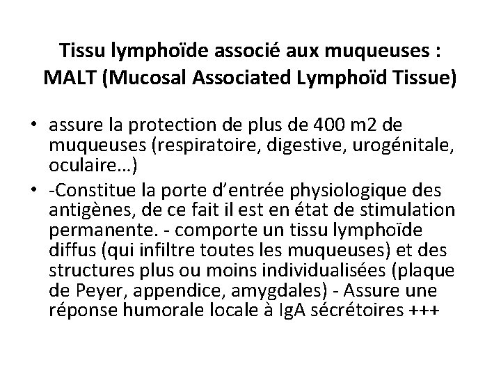 Tissu lymphoïde associé aux muqueuses : MALT (Mucosal Associated Lymphoïd Tissue) • assure la