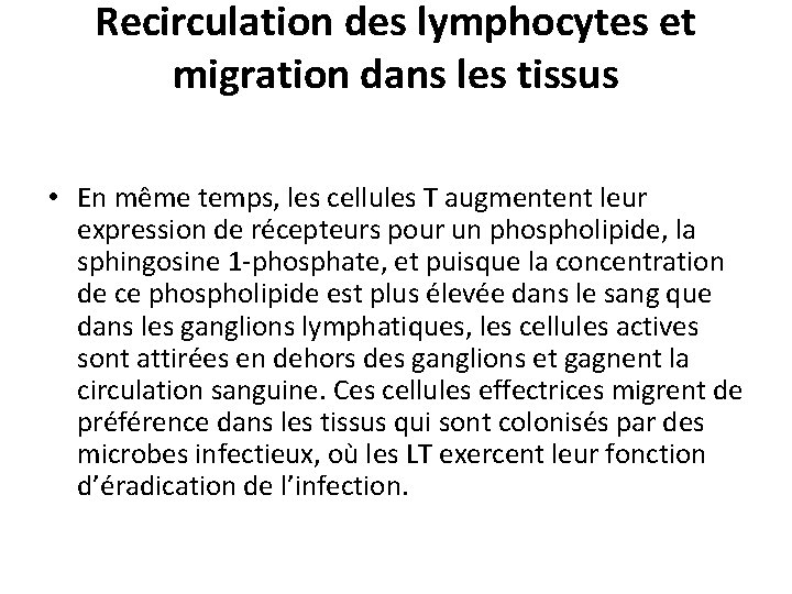 Recirculation des lymphocytes et migration dans les tissus • En même temps, les cellules