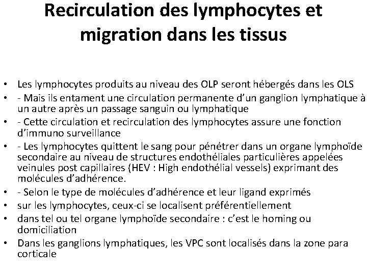 Recirculation des lymphocytes et migration dans les tissus • Les lymphocytes produits au niveau