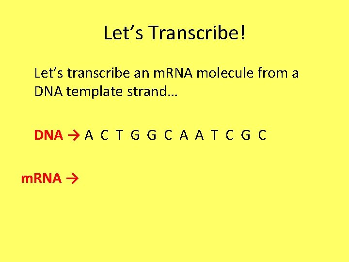 Let’s Transcribe! Let’s transcribe an m. RNA molecule from a DNA template strand… DNA