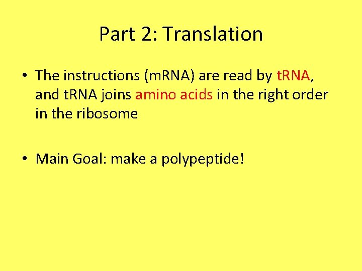 Part 2: Translation • The instructions (m. RNA) are read by t. RNA, and