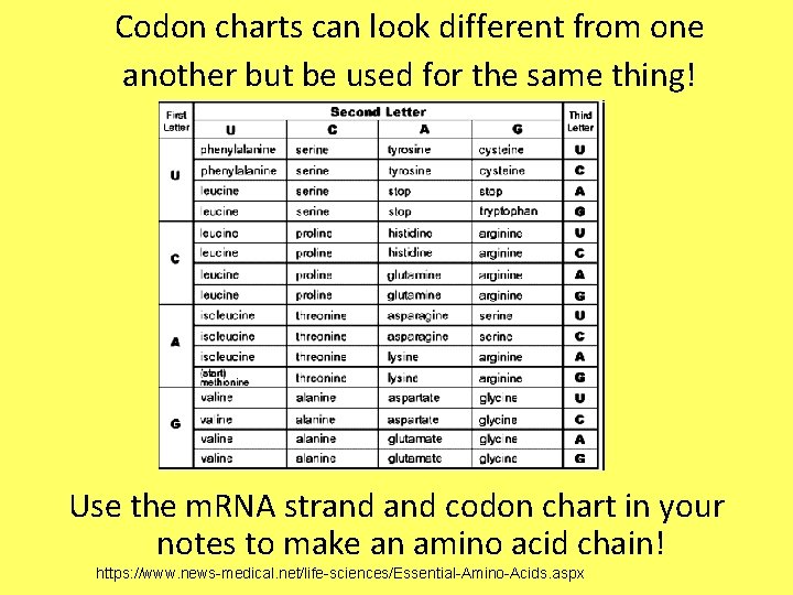Codon charts can look different from one another but be used for the same