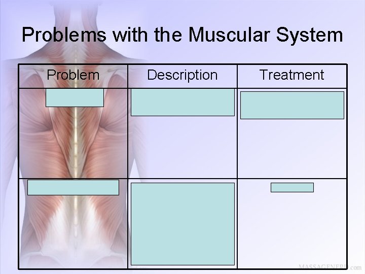 Problems with the Muscular System Problem Description Treatment Tendonitis Overstretched or torn tendon Rest