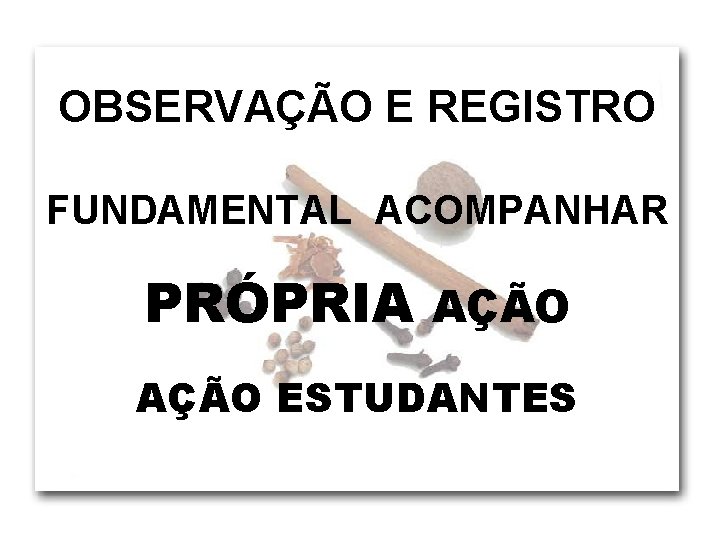 OBSERVAÇÃO E REGISTRO FUNDAMENTAL ACOMPANHAR PRÓPRIA AÇÃO ESTUDANTES 