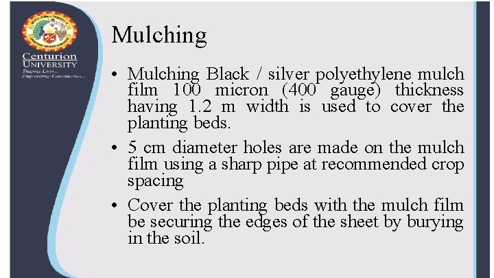 Mulching • Mulching Black / silver polyethylene mulch film 100 micron (400 gauge) thickness