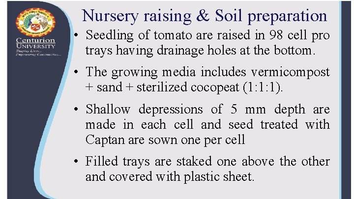 Nursery raising & Soil preparation • Seedling of tomato are raised in 98 cell