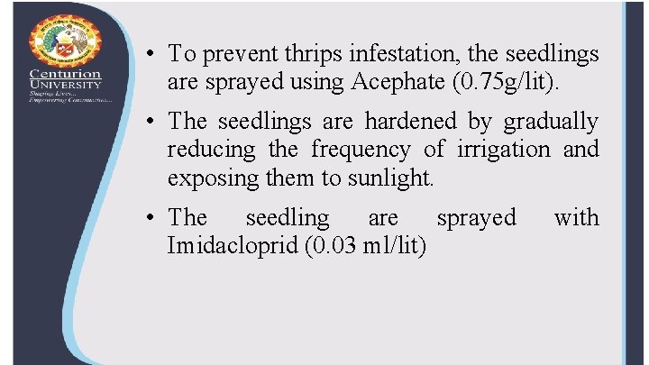  • To prevent thrips infestation, the seedlings are sprayed using Acephate (0. 75