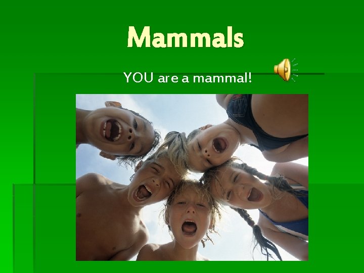 Mammals YOU are a mammal! 