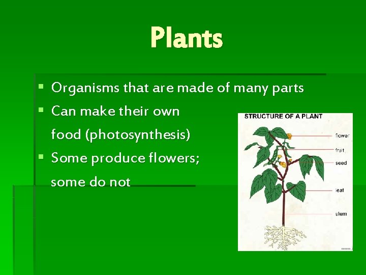 Plants § Organisms that are made of many parts § Can make their own