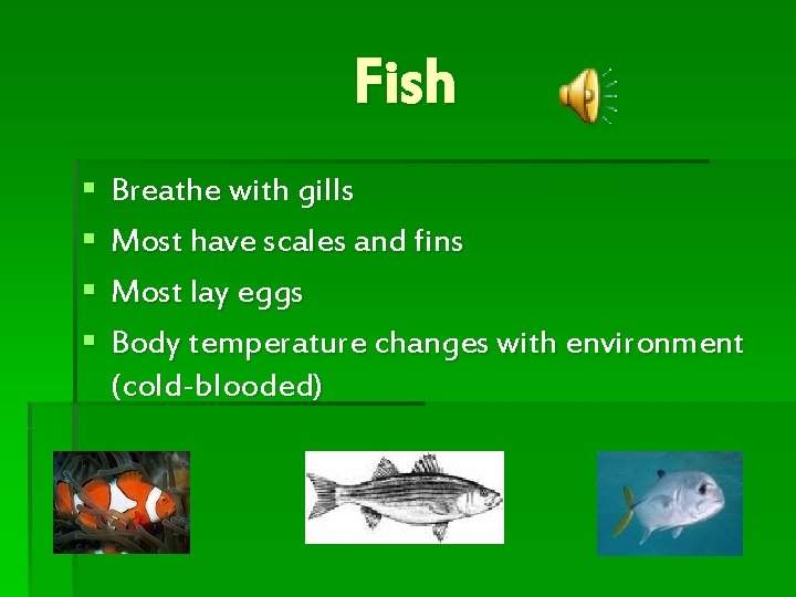 Fish § § Breathe with gills Most have scales and fins Most lay eggs