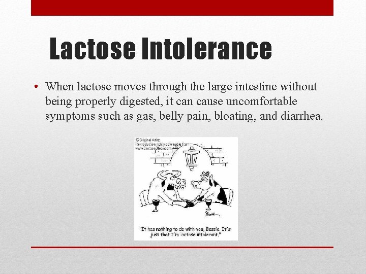 Lactose Intolerance • When lactose moves through the large intestine without being properly digested,