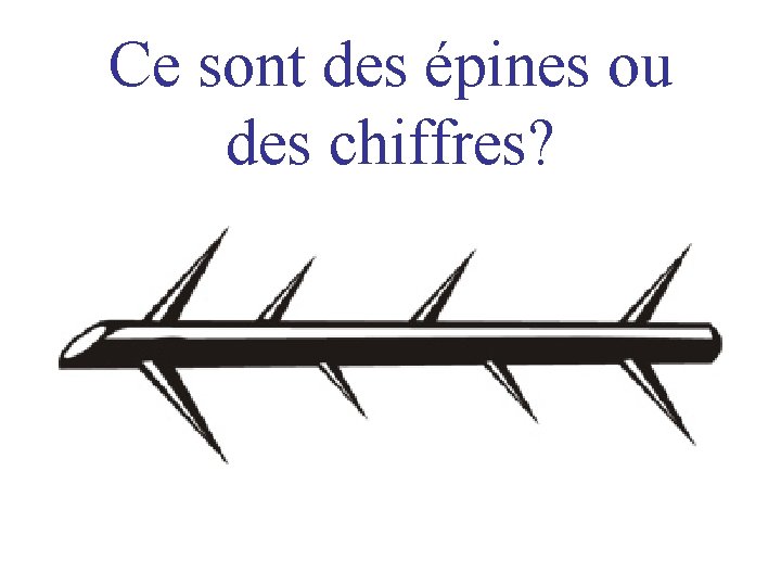 Ce sont des épines ou des chiffres? 